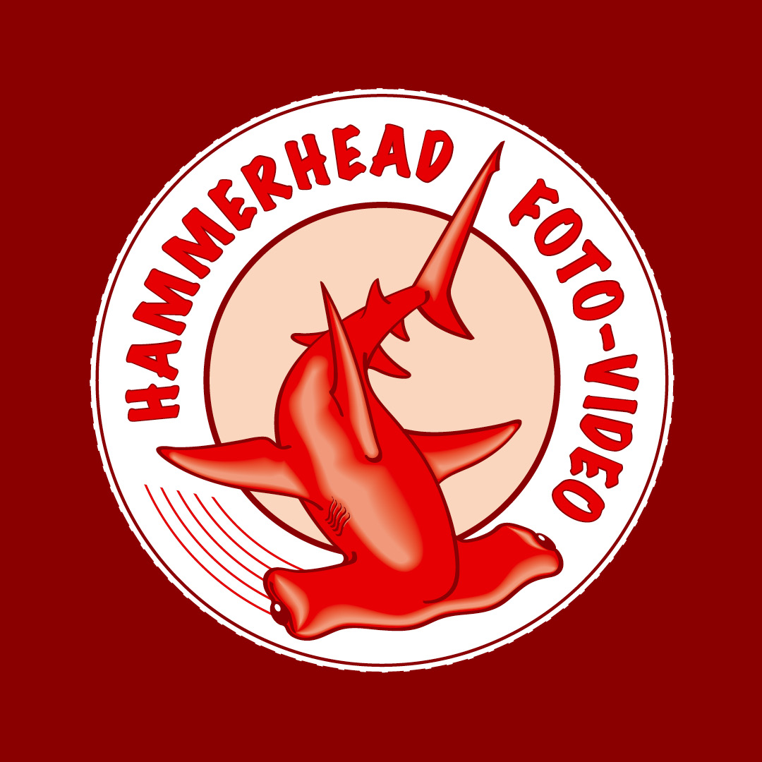 Hammerhead